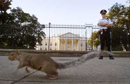 Associated Press